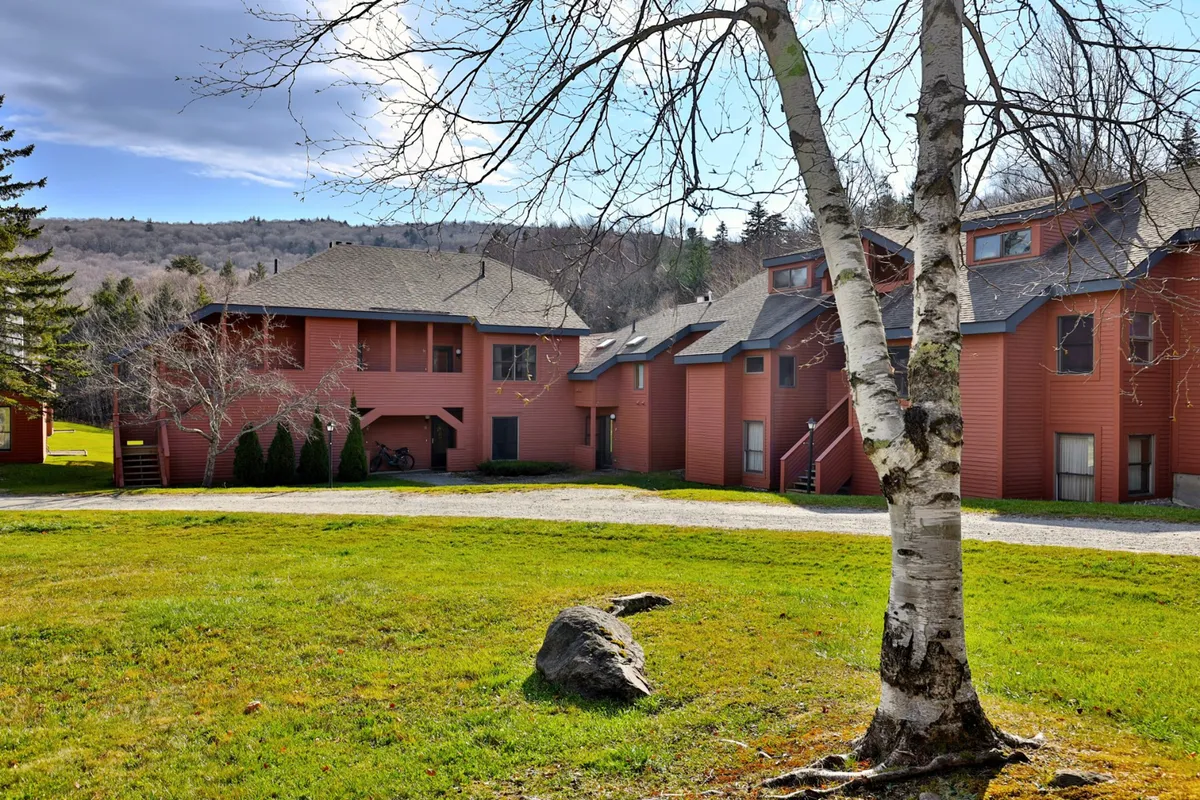 A serene exterior shot shows red wooden buildings set on a grassy lawn, a striking leafless birch tree, and dramatic mountain views in the background, embodying the tranquil ambiance of a mountain retreat.